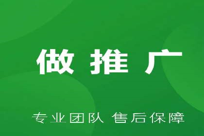 成功SEM服务案例分析报告